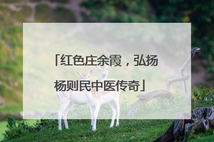 红色庄余霞，弘扬杨则民中医传奇